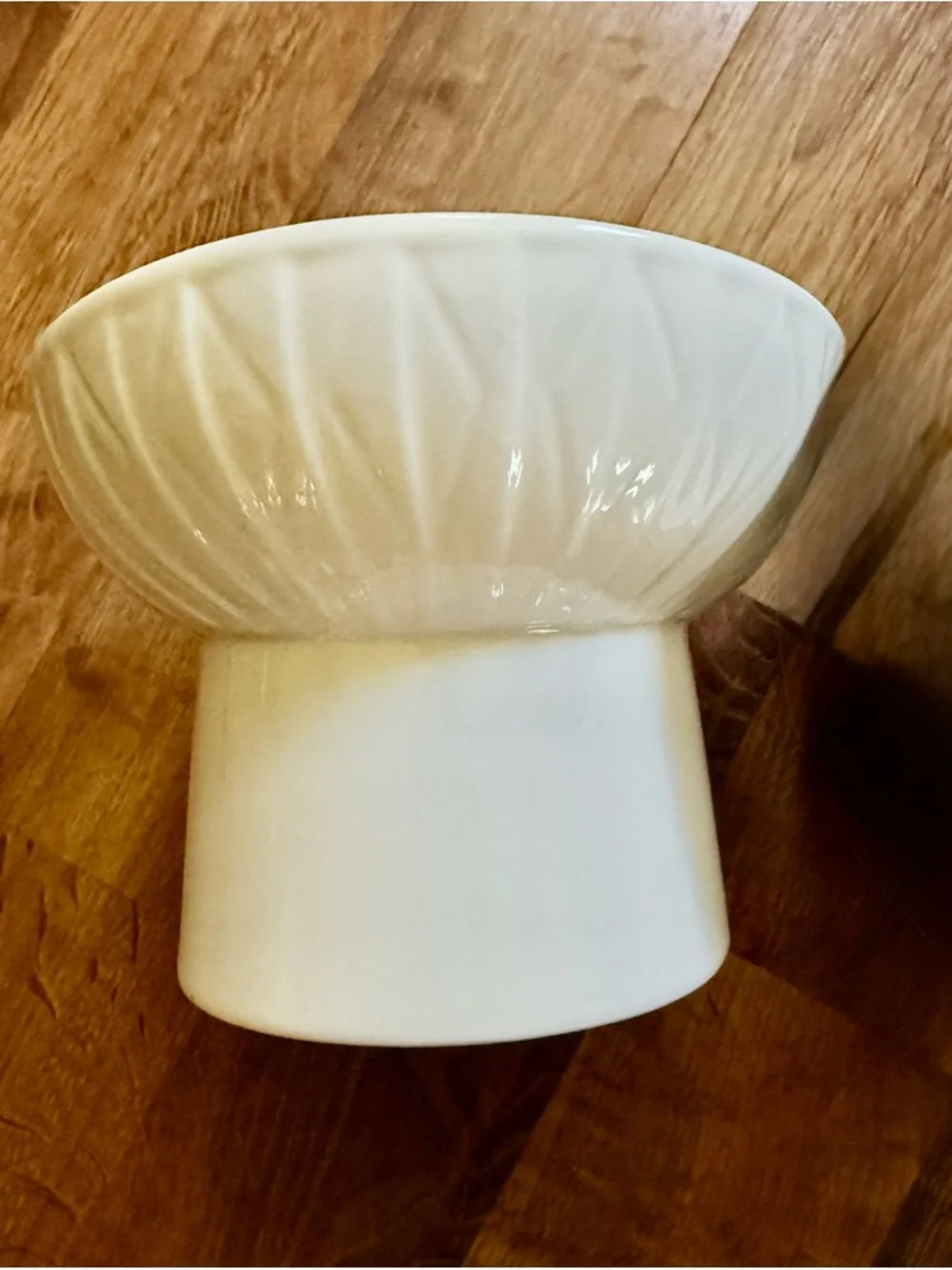 White Ceramic Pet Food Bowl with Fish Bone Design